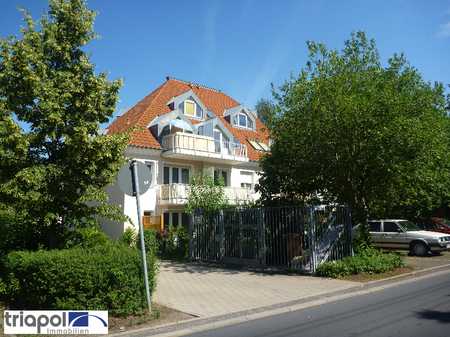 Single wohnung dresden provisionsfrei
